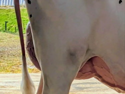 318139