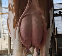 318415