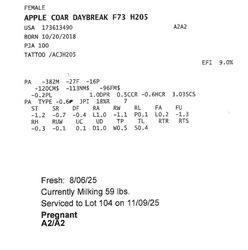 309284