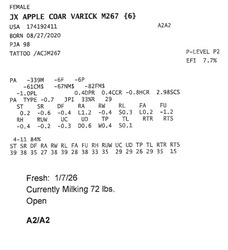 309304