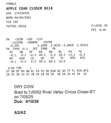 309354