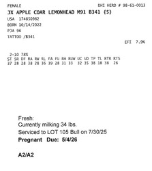 309368