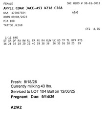 309410