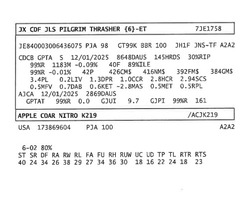 309461