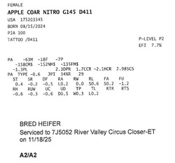 309482