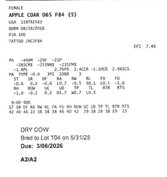 309512