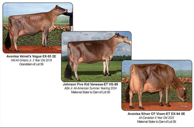 321864