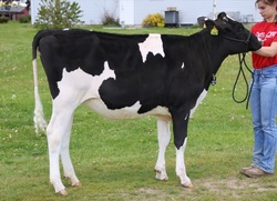 321848