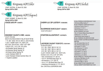 310593