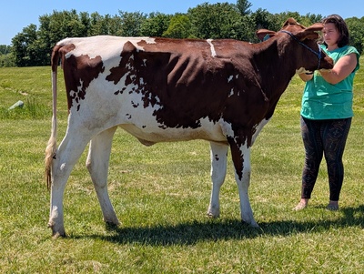 320954