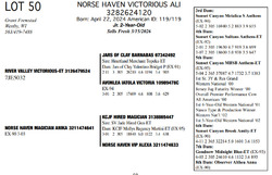 321261