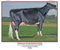320703