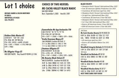 321394