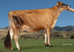 321419