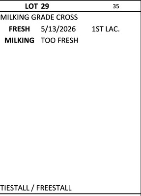 322235