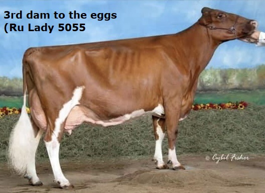 28304