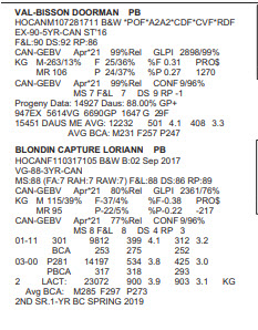 27306