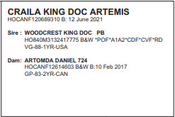 27387
