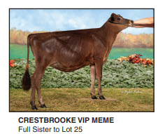 39433