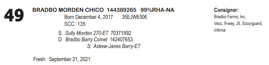 41244