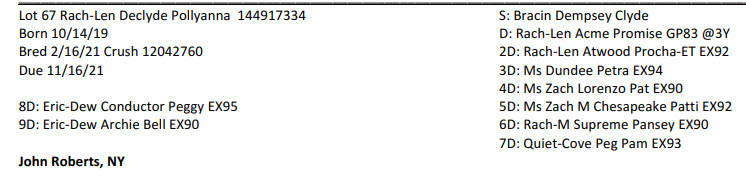 40816