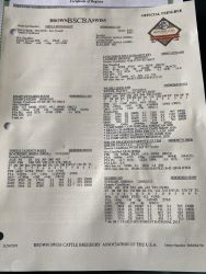 47561