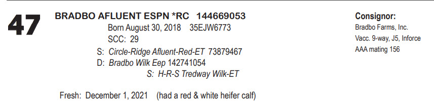 47812