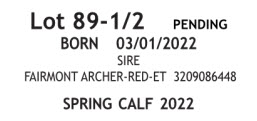 63313