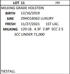 48848