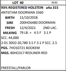 48881