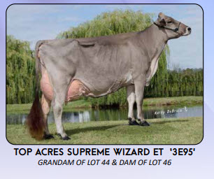 74460
