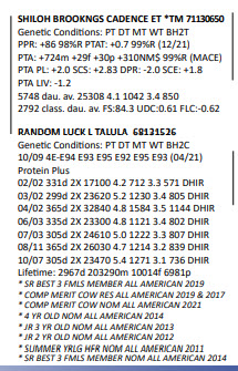 74376