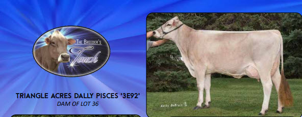 74426