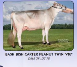 74534