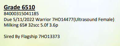 54437