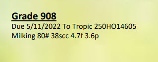 54438