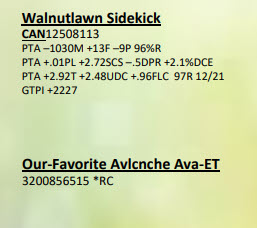 54439