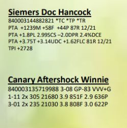 54454