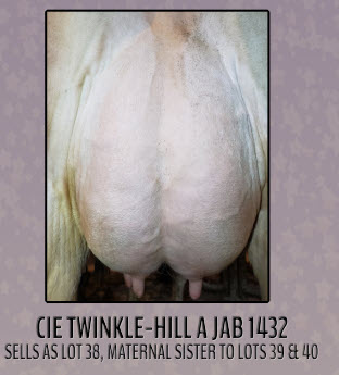 62802