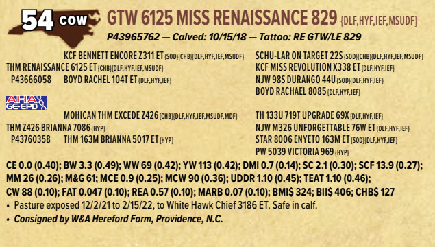 62272