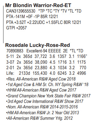 62066