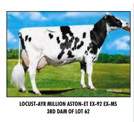 66590