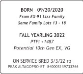 71412