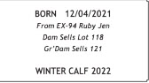 71446