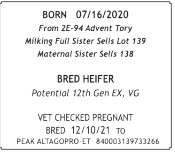 71490