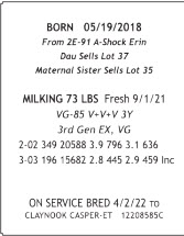 71579