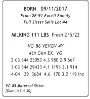 71603