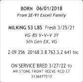 71623