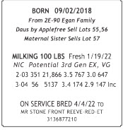 71625