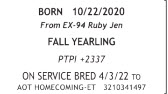 71466